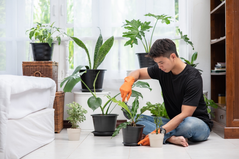 A Beginner's Guide to Simple Home Gardening