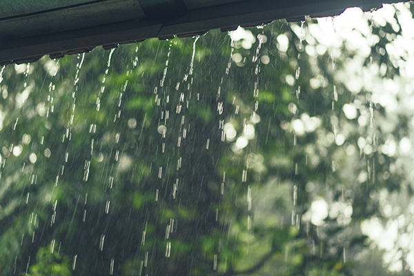 Through the Rain: Simple Tips to Keep your Home Clean and Dry this